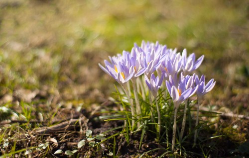   . <a target='_blank' href='/wallpapers/41/'>  3763*2391</a>